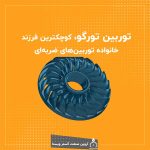 توربین تورگو، کوچکترین فرزند خانواده توربین‌های ضربه‌ای
