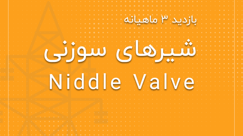 بازدید سه ماهانه شیر سوزنی